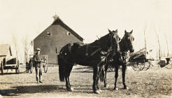 Henry Umland with horse team